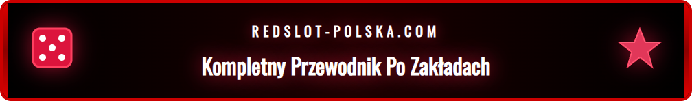Infografika wyjaśniająca, jak stawiać zakłady na Ligę Mistrzów.